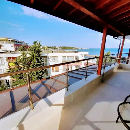 аурелия бей * Равда