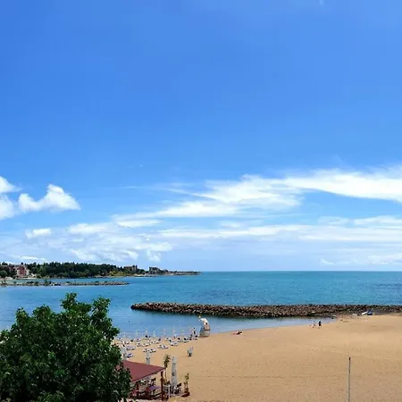 аурелия бей رافدا