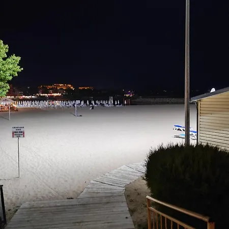 аурелия бей Равда