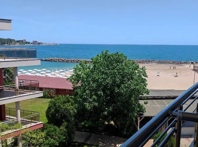 аурелия бей *